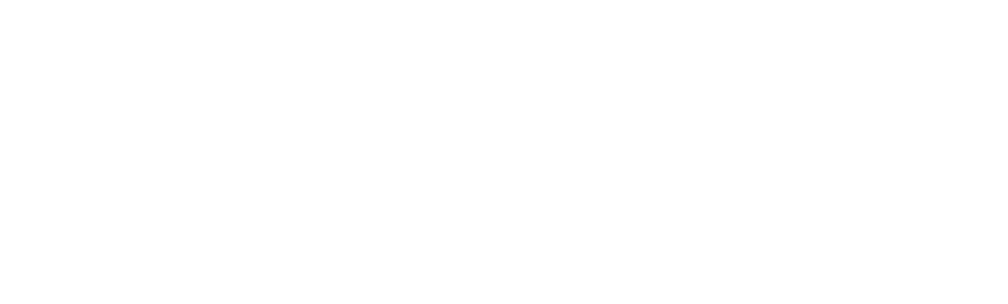 https://witsped-logistics.com/wp-content/uploads/2025/03/freyt.png